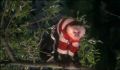 dr dolittle 3-avi_128.jpg